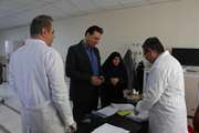 بررسی 700 پرونده پزشکی در نهمین کمیسیون پزشکی استان کرمانشاه